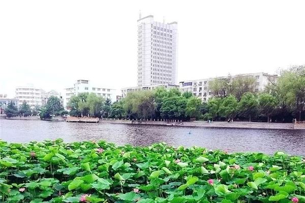 北京青年湖公园