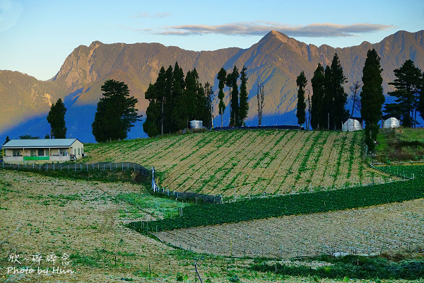 福寿山农场