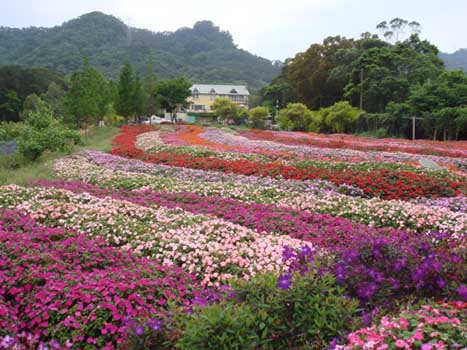 富田花园农场