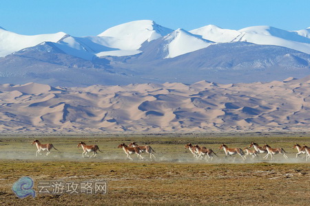 阿尔金山