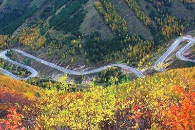 六盘山生态植物园