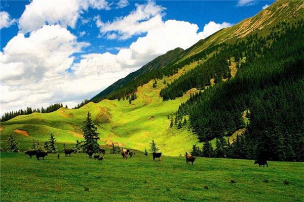 贺兰山农牧生态旅游区