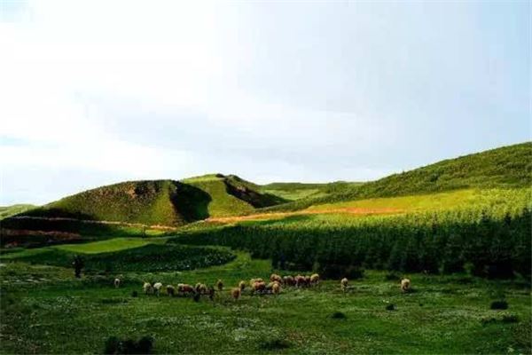 峡群林场