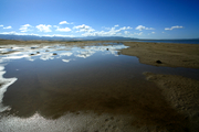 小泊湖湿地