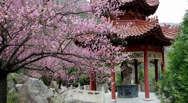 成县杜公祠