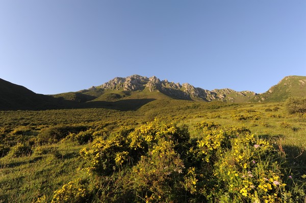 露骨山