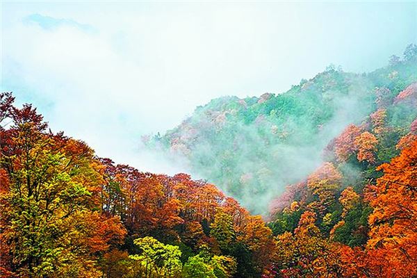 老君山森林公园