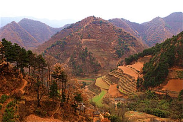 金龙山景区