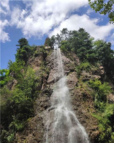 麦积山植物园