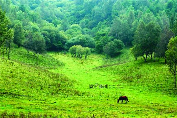 关山马鹿自然风景区