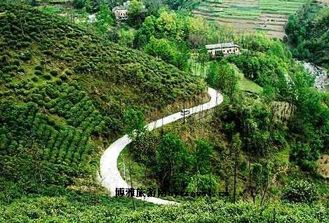 茶山风情园景区