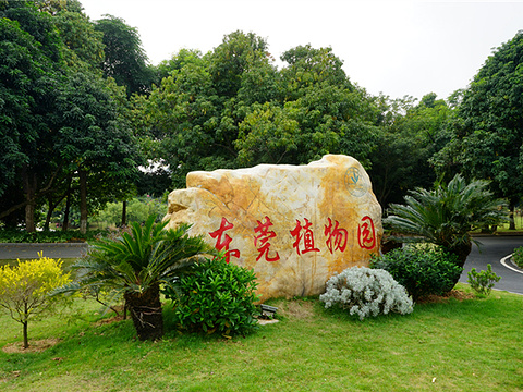 榆林沙地植物园