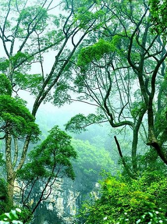 太白洞风景区