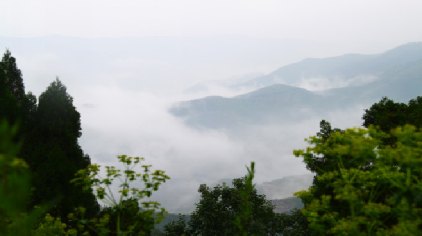 金粟山森林公园