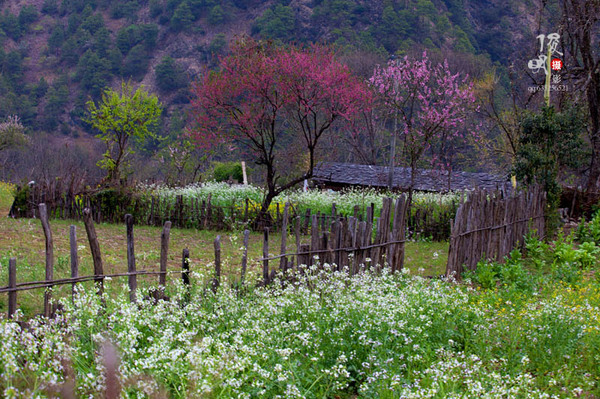 怒江桃花岛