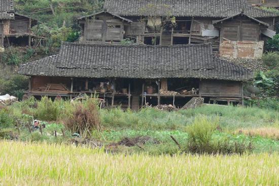 下坝尾典型民居住宅