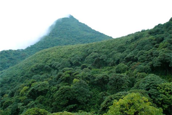 西隆山自然保护区