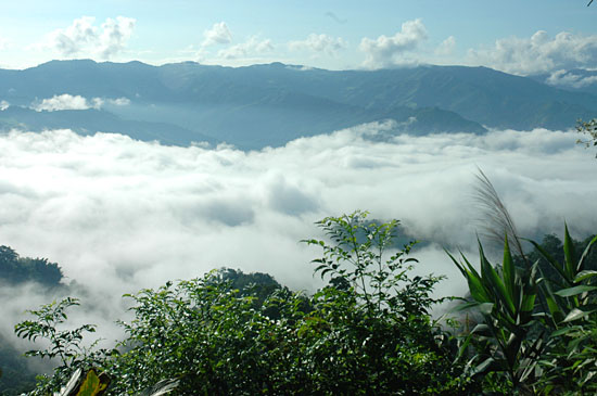 西盟佤山云海