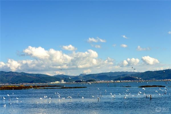 通海杞麓湖