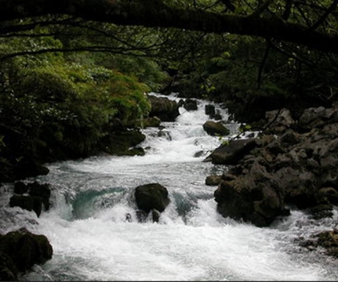 青龙潭公园