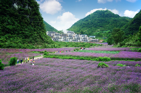 荔波漳江风景区