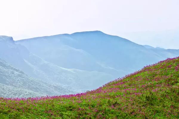 马摆大山景区