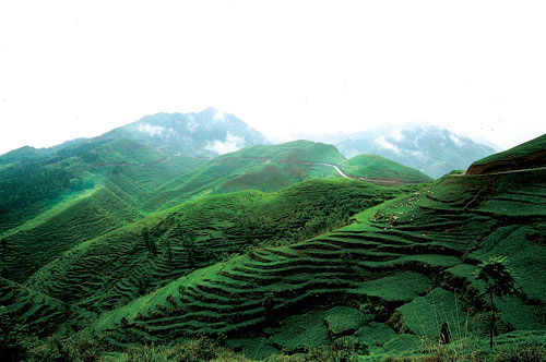 晴隆山草场