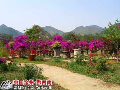 西南植物园