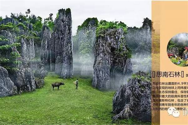 艺术石林狩猎场景区