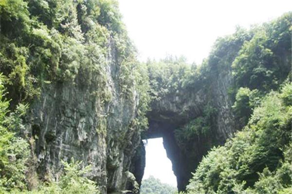 龙阳仙人桥景区