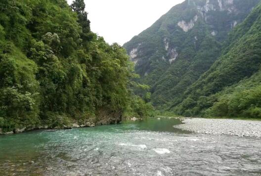 大沙河自然保护区