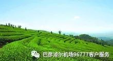 茶海森林公园