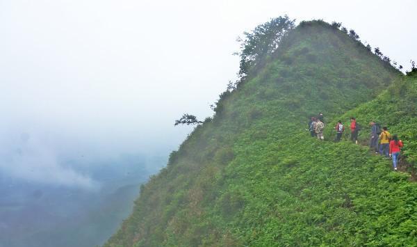 洪关大林景区