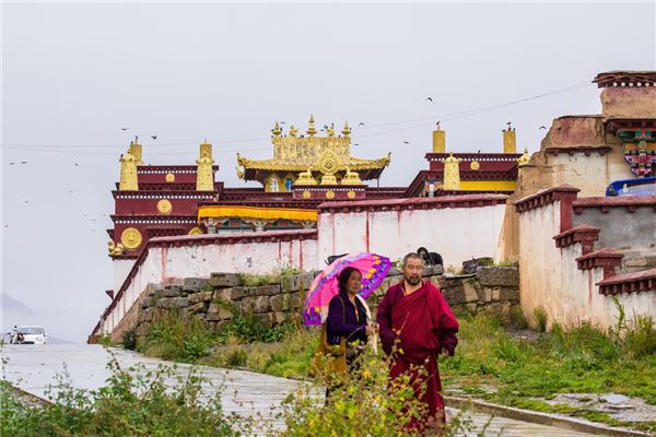 大金寺