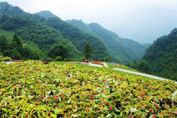 阿坝汶川三江生态区