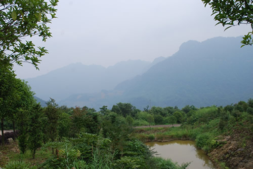 大竹峰顶山