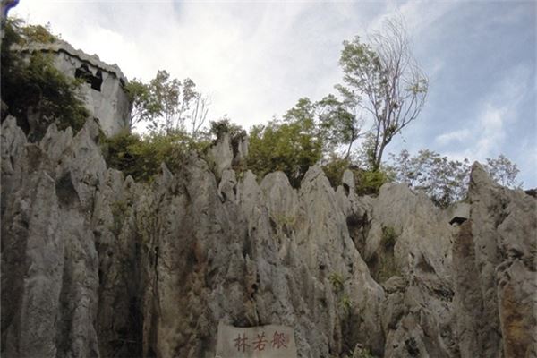 广安华蓥山天然大盆景