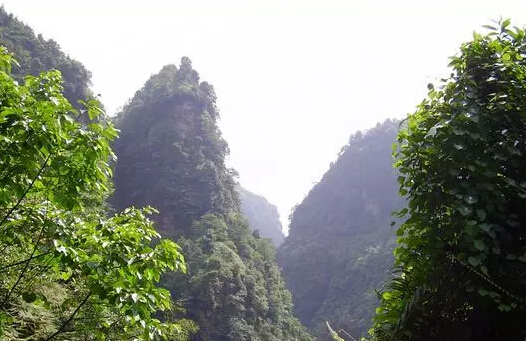 龙抱山自然风景区