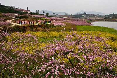 广济桃花山景区