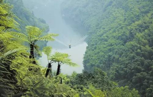 佛光湖景区