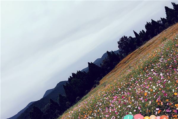 崴螺山长寿风景区