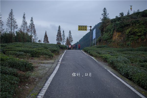 道林沟景区