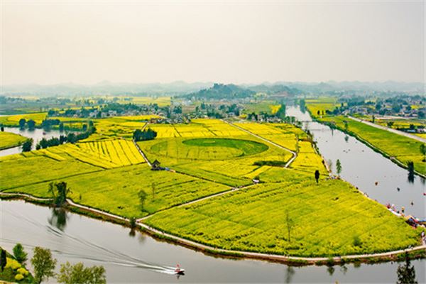 陈抟故里·崇龛花海景区