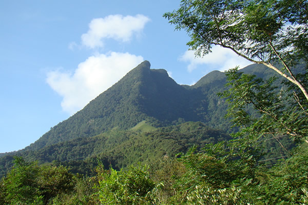 鹦歌岭景区