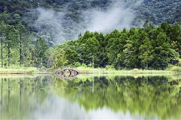 吊罗山国家森林公园