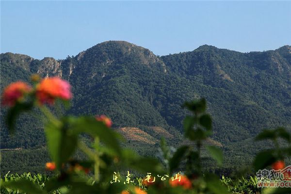 海南毛公山