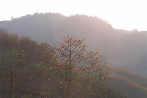 九架岭风景区