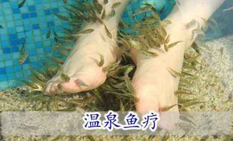 三亚田原温泉鱼疗