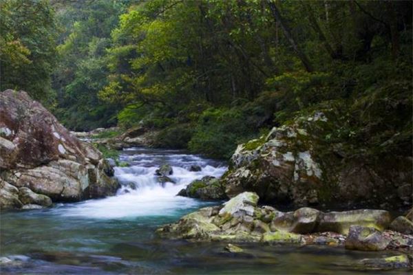 东兴杨梅坳避暑旅游风景区