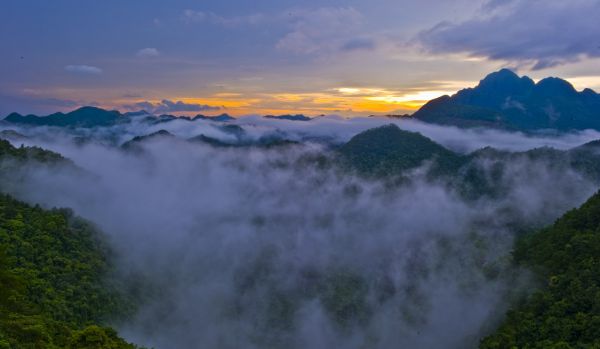 大平山自然保护区